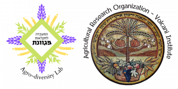 Logo of Agro-Diversity Lab, Natural Resources Department - Plant sciences Agricultural Research Organization- Volcani Institute