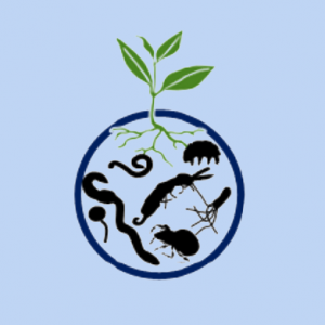 We are hiring! PostDoc in Soil Biodiversity 80-100% (f/m/d) open at project partner WSL We are hiring! PostDoc in Soil Biodiversity 80-100% (f/m/d) open at project partner WSL