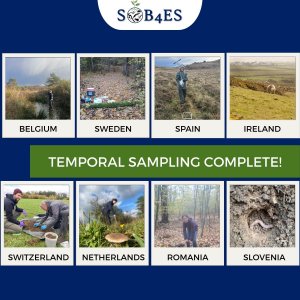 Temporal sampling complete in SOB4ES!
